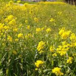 IMG_20210507_154836 (2)