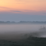 mist-in-de-polder