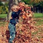 herfst-pexels-scott-webb-36965