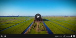 Video Krimpen aan de Lek